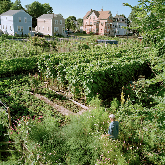 City Farm