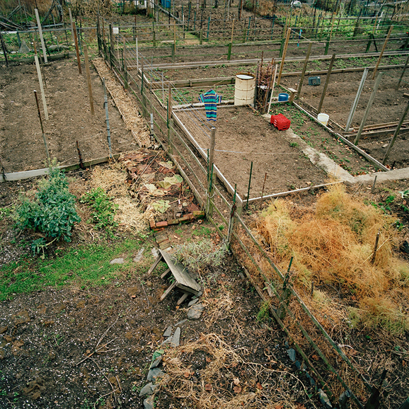 South Providence Urban Farm