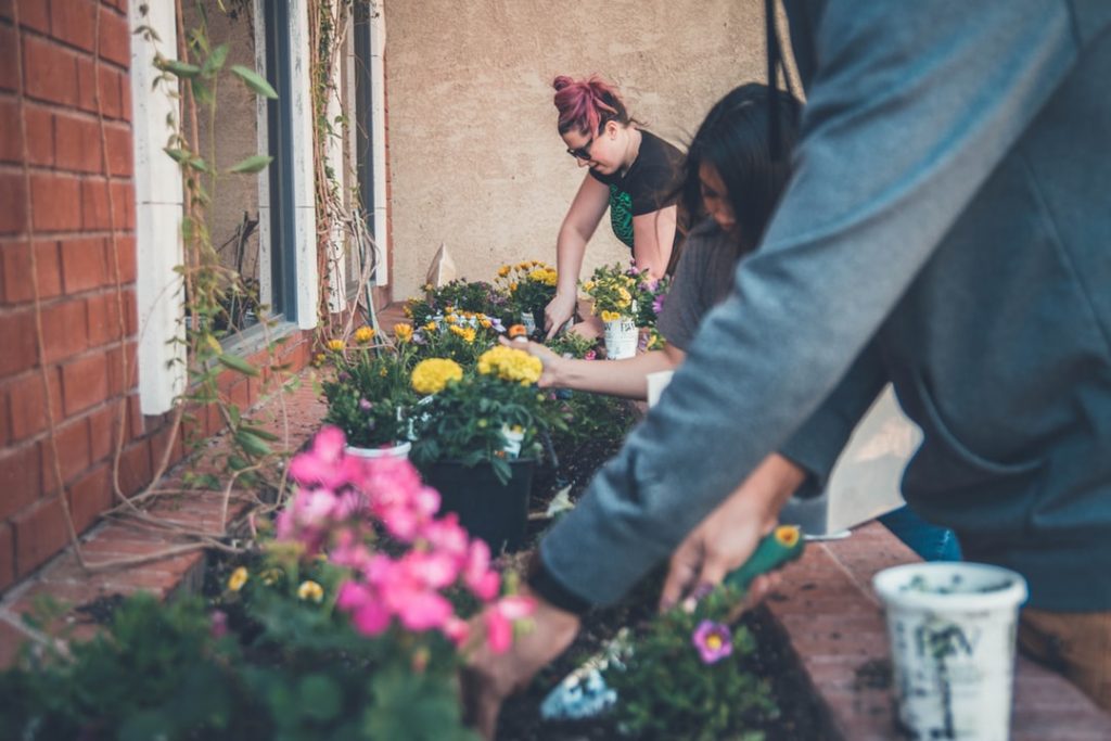 brick raised garden bed