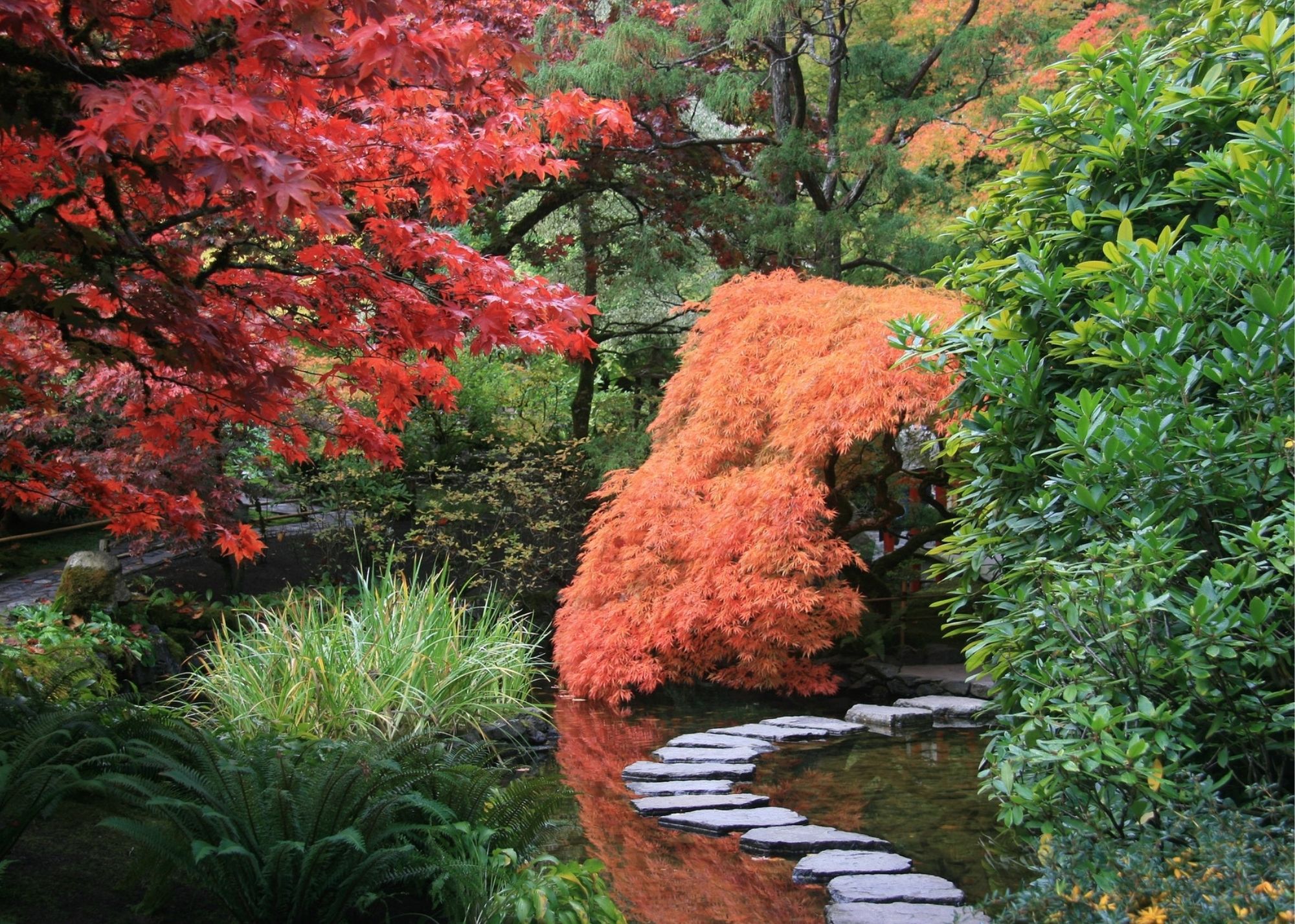 Japanese Garden (2)