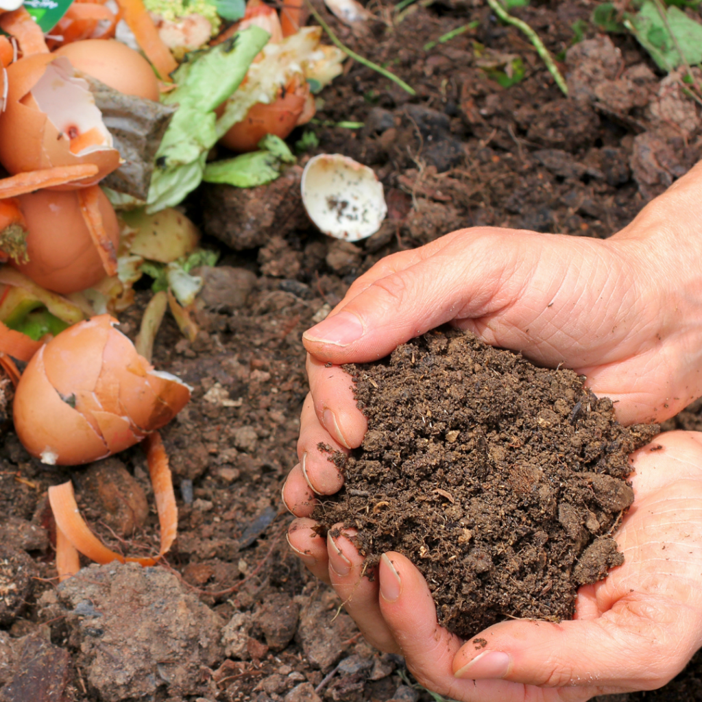 compost for garden with top-yielding fruits, vegetables, and herbs