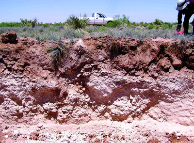 Southwest Garden Soil Prep Tips Caliche Soil