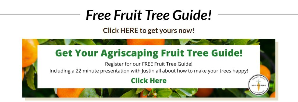 Free Fruit Tree Guide