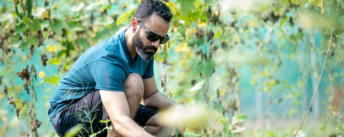 man in vegetable garden what are microclimates