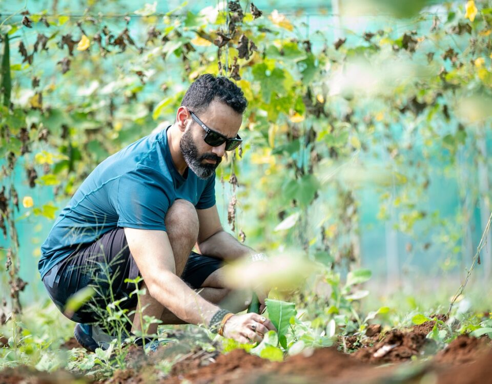 man in vegetable garden what are microclimates