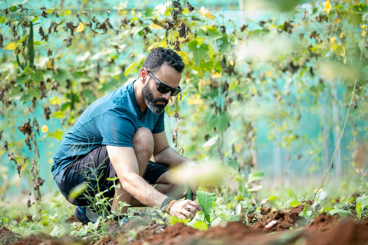 man in vegetable garden what are microclimates