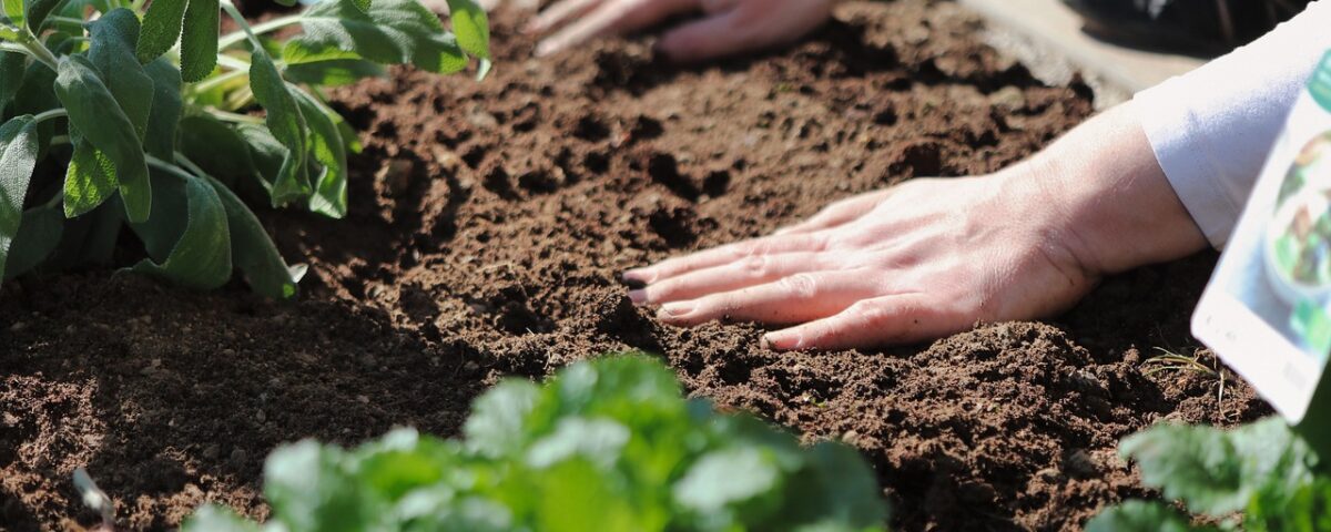 southwest garden soil prep tips touching soil