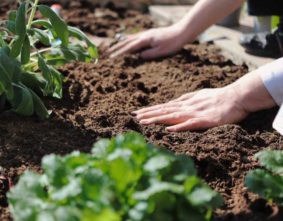 southwest garden soil prep tips touching soil