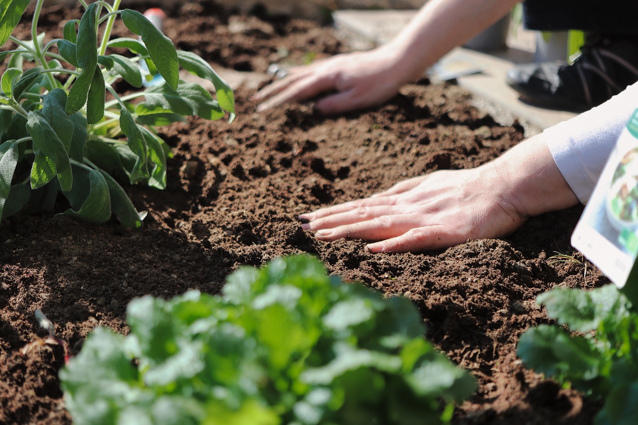 southwest garden soil prep tips touching soil