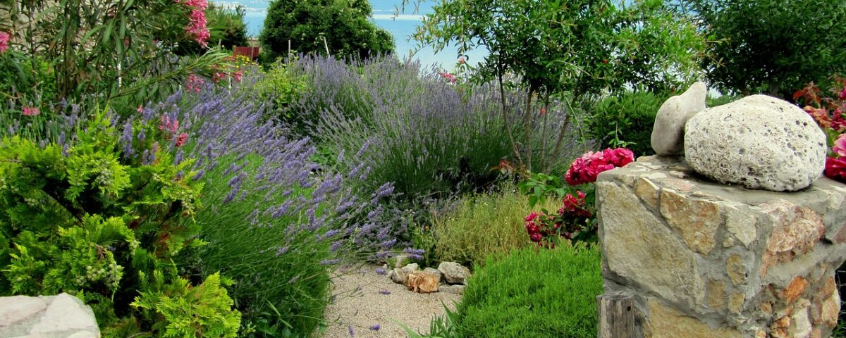 agriscaping-herbs-designing elegant edible landscapes