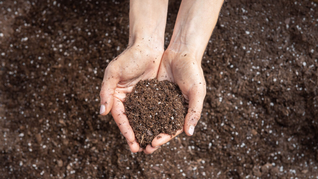 Preparing soil 
Seed Planting Secrets for the Southwest