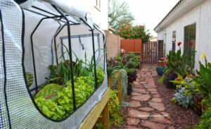 Raised bed gardening