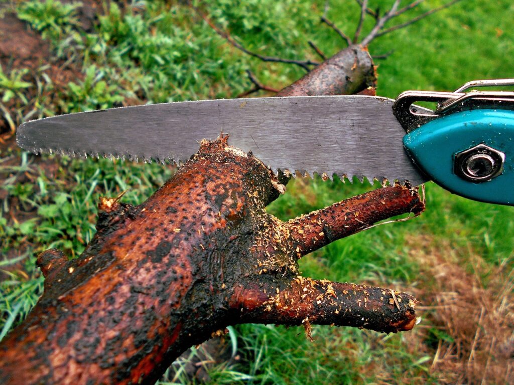 winter pruning saw