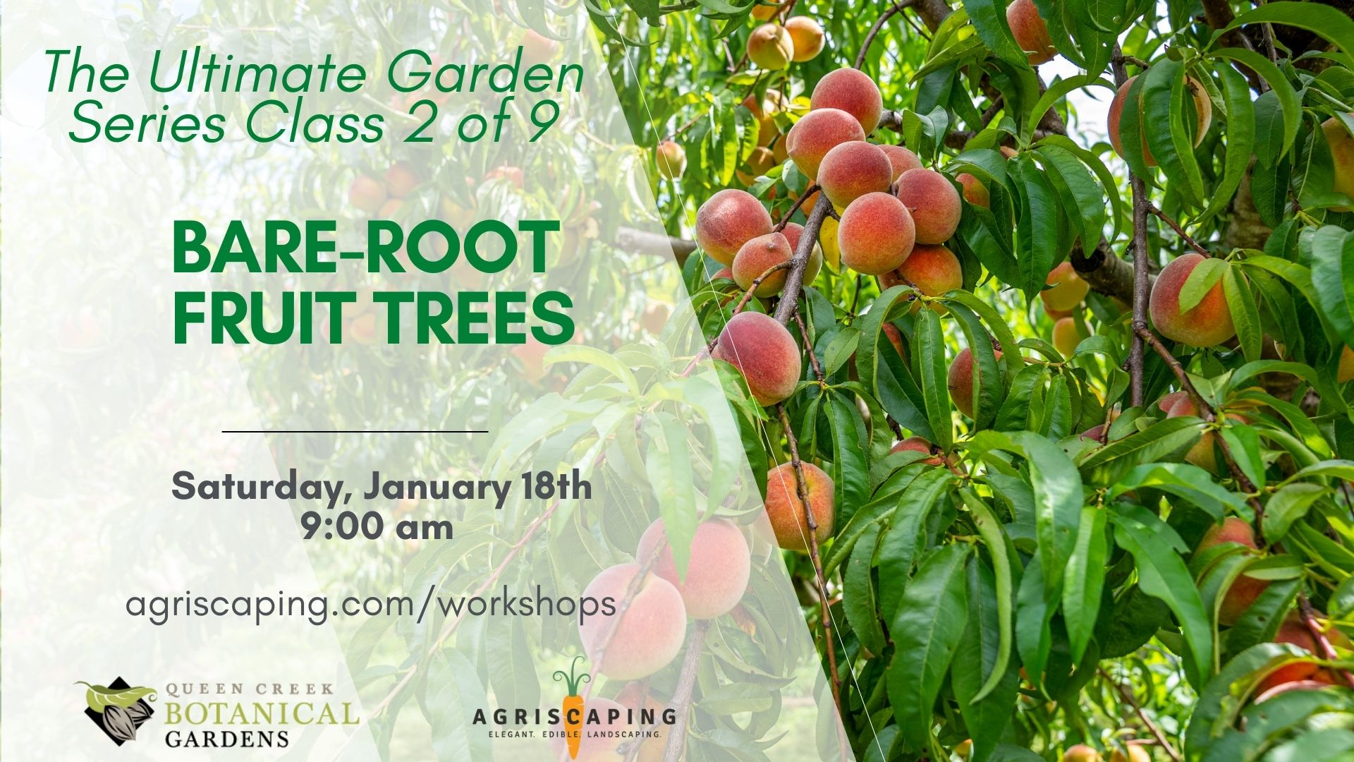 1.18.25 Bare-Root Workshop