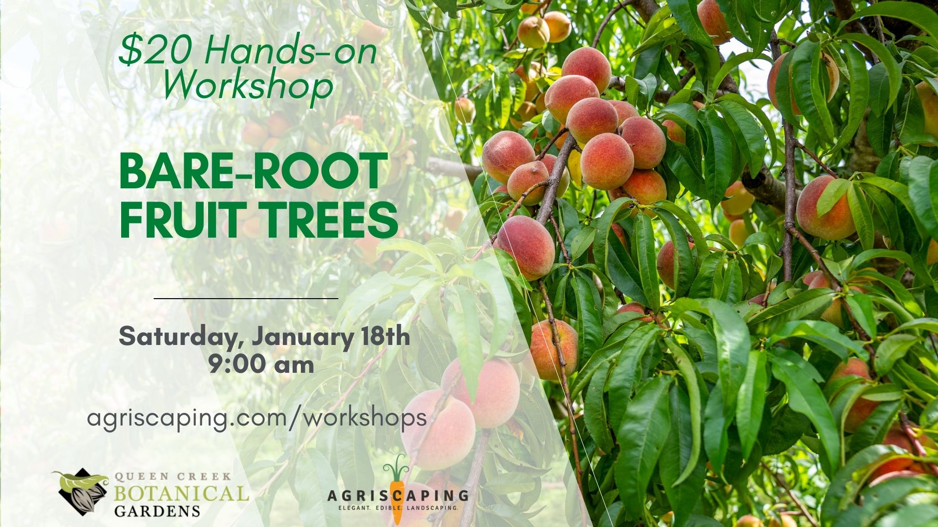 1.18.25 Bare-Root Workshop