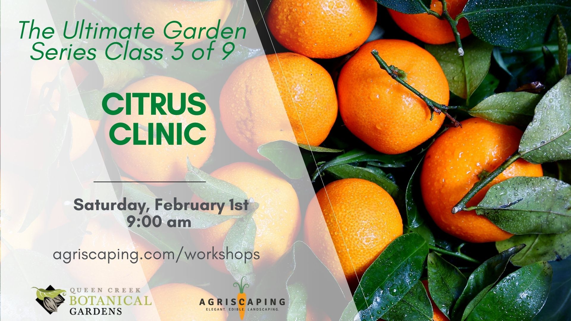 2.1.25 Citrus Clinic Workshop