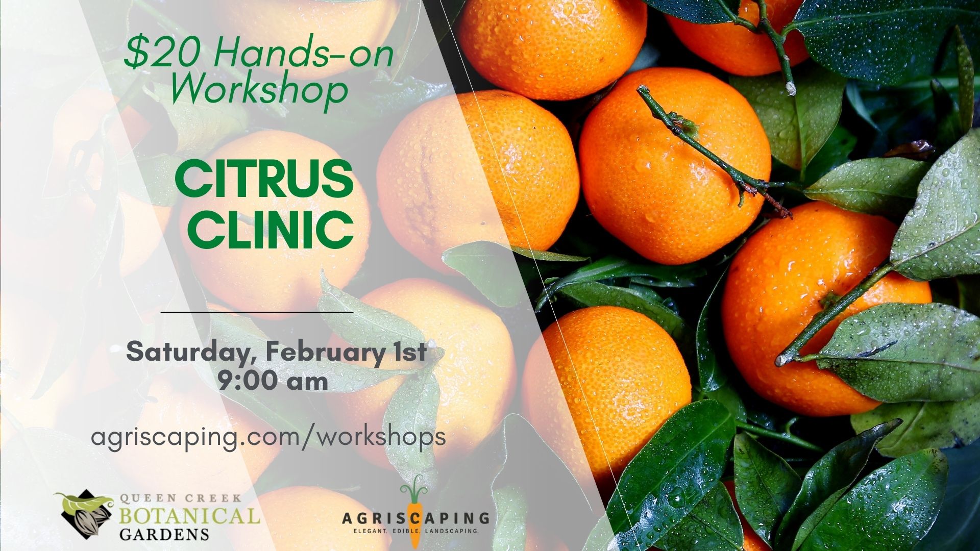 2.1.25 Citrus Clinic Workshop