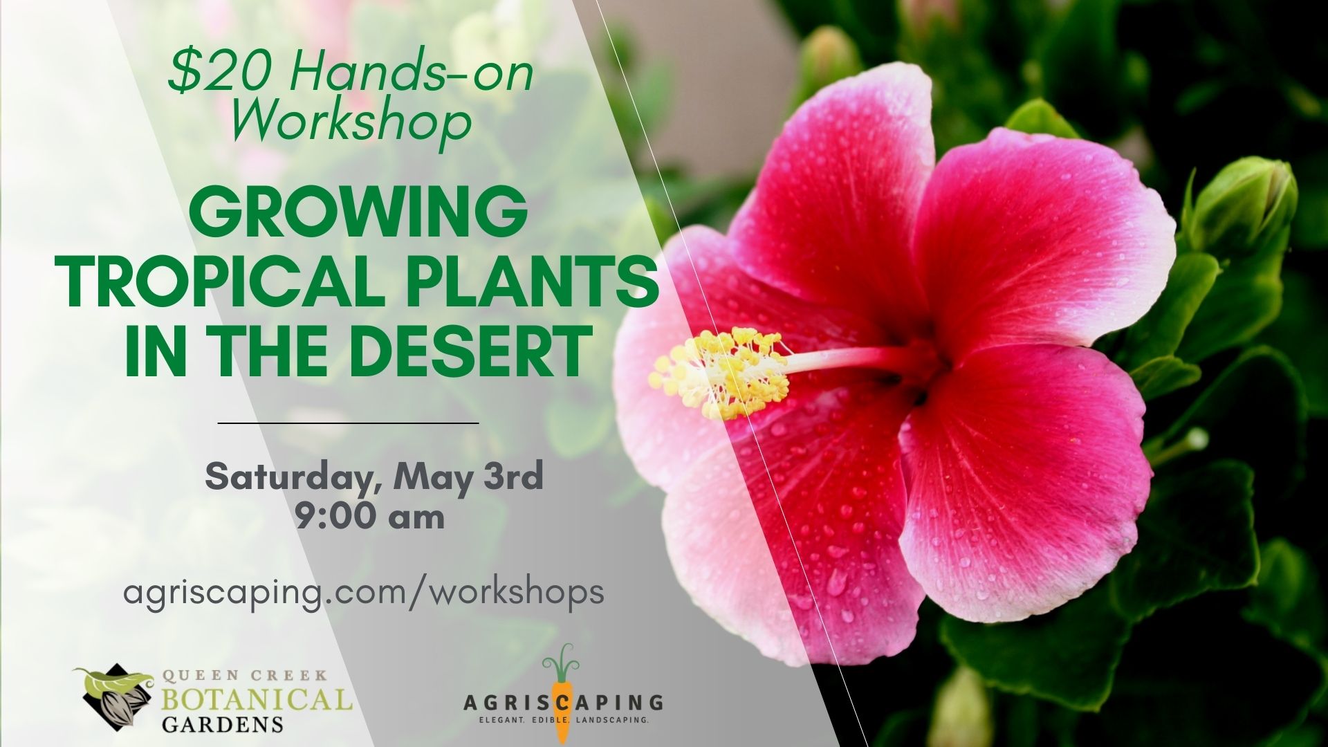 5.3.24 Tropical Plants Workshop