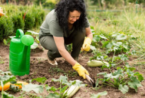 desert gardening