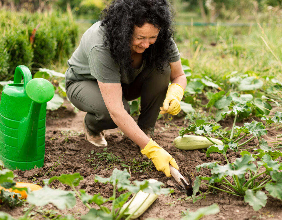 desert gardening