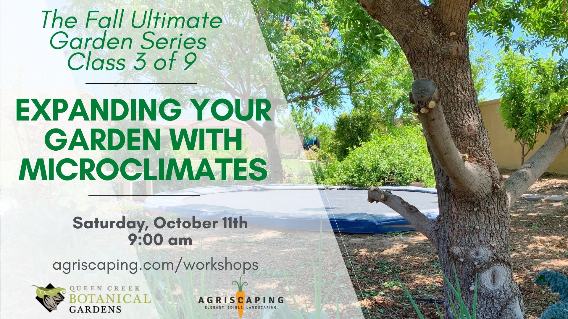 10.11.25 Microclimates Workshop