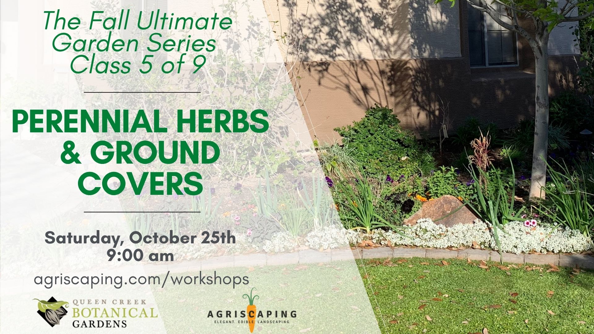 10.25.25 Ground Covers Workshop