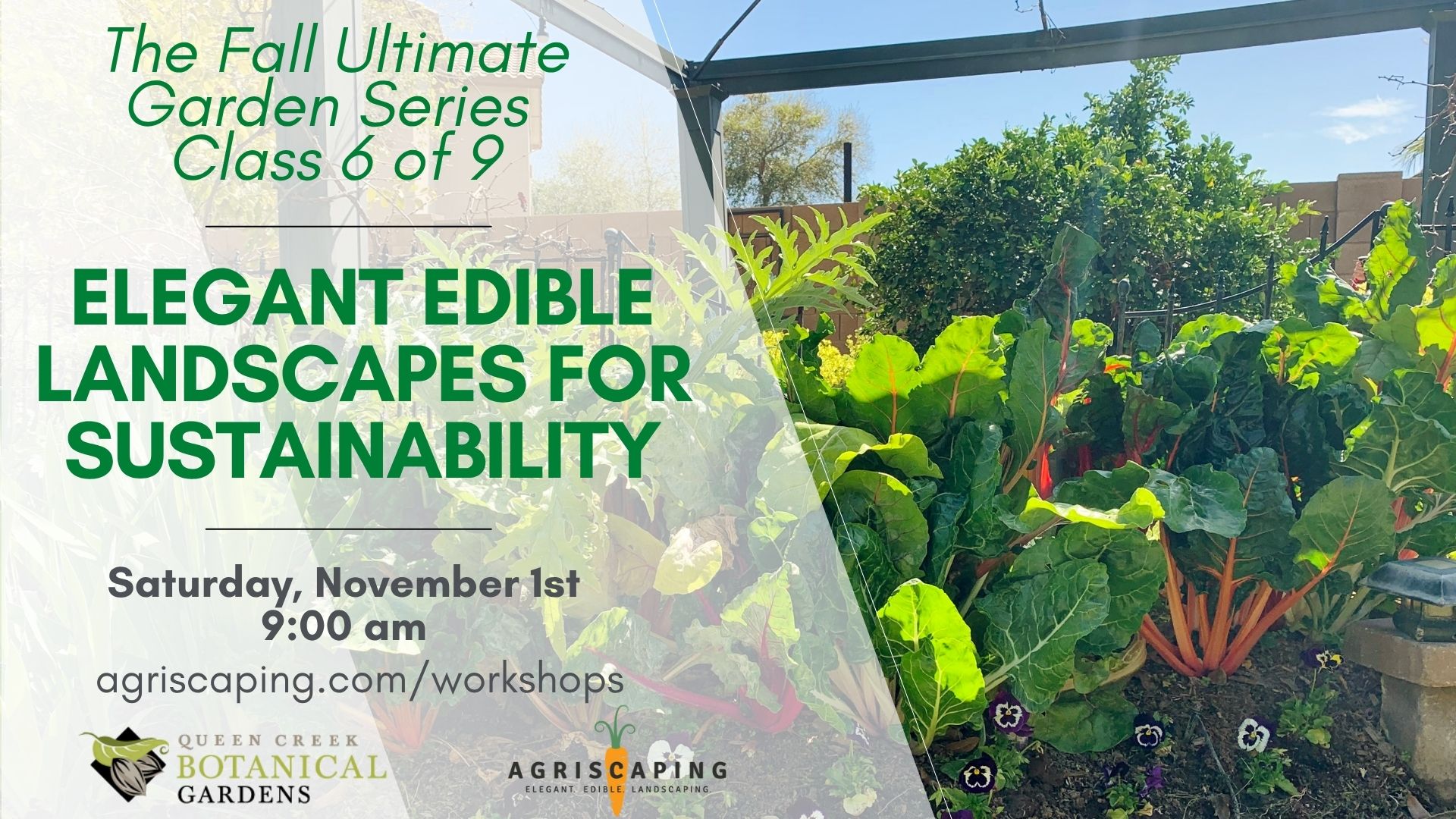 11.01.25 Sustainability Workshop
