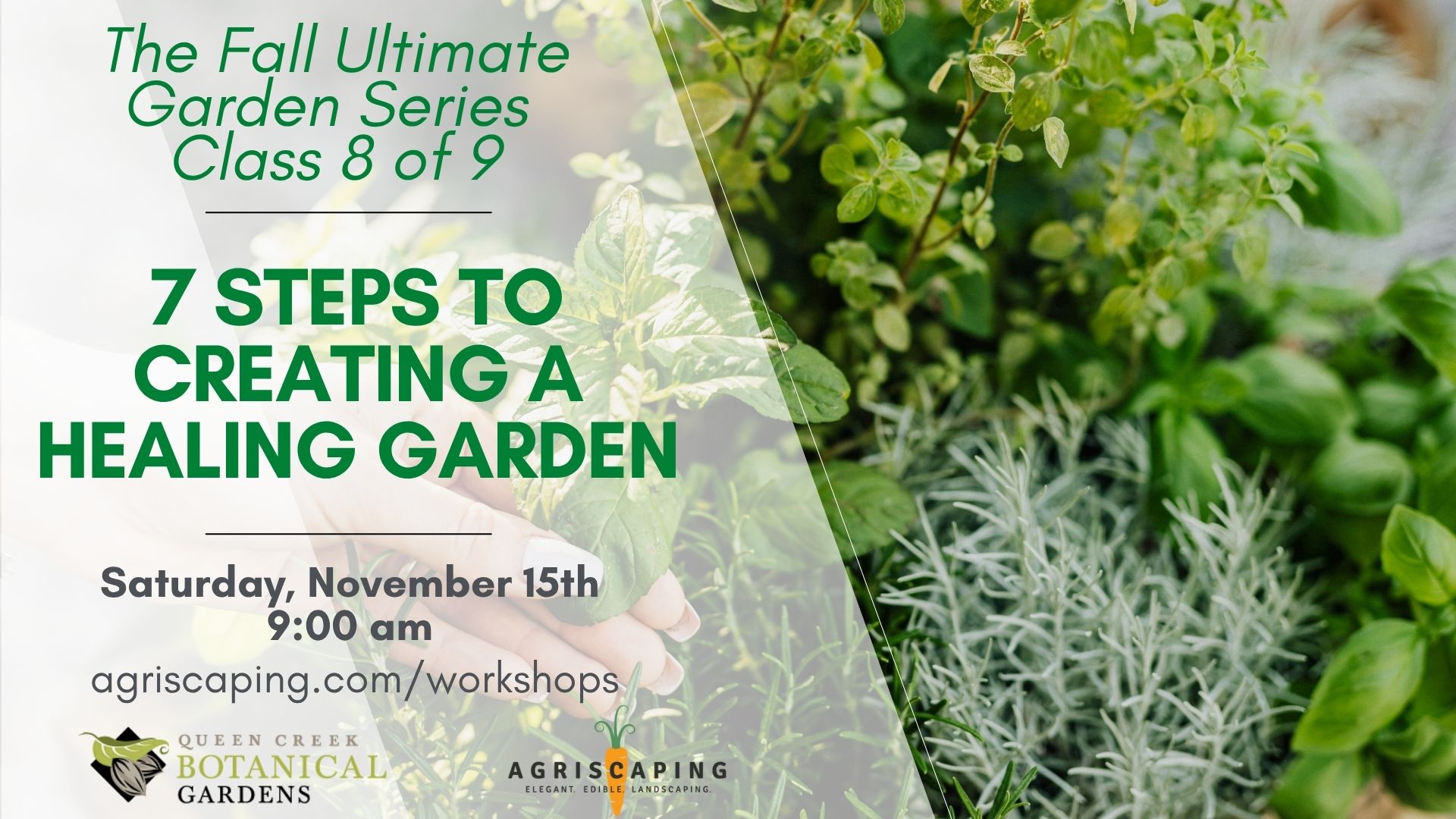 11.15.25 Healing Garden Workshop