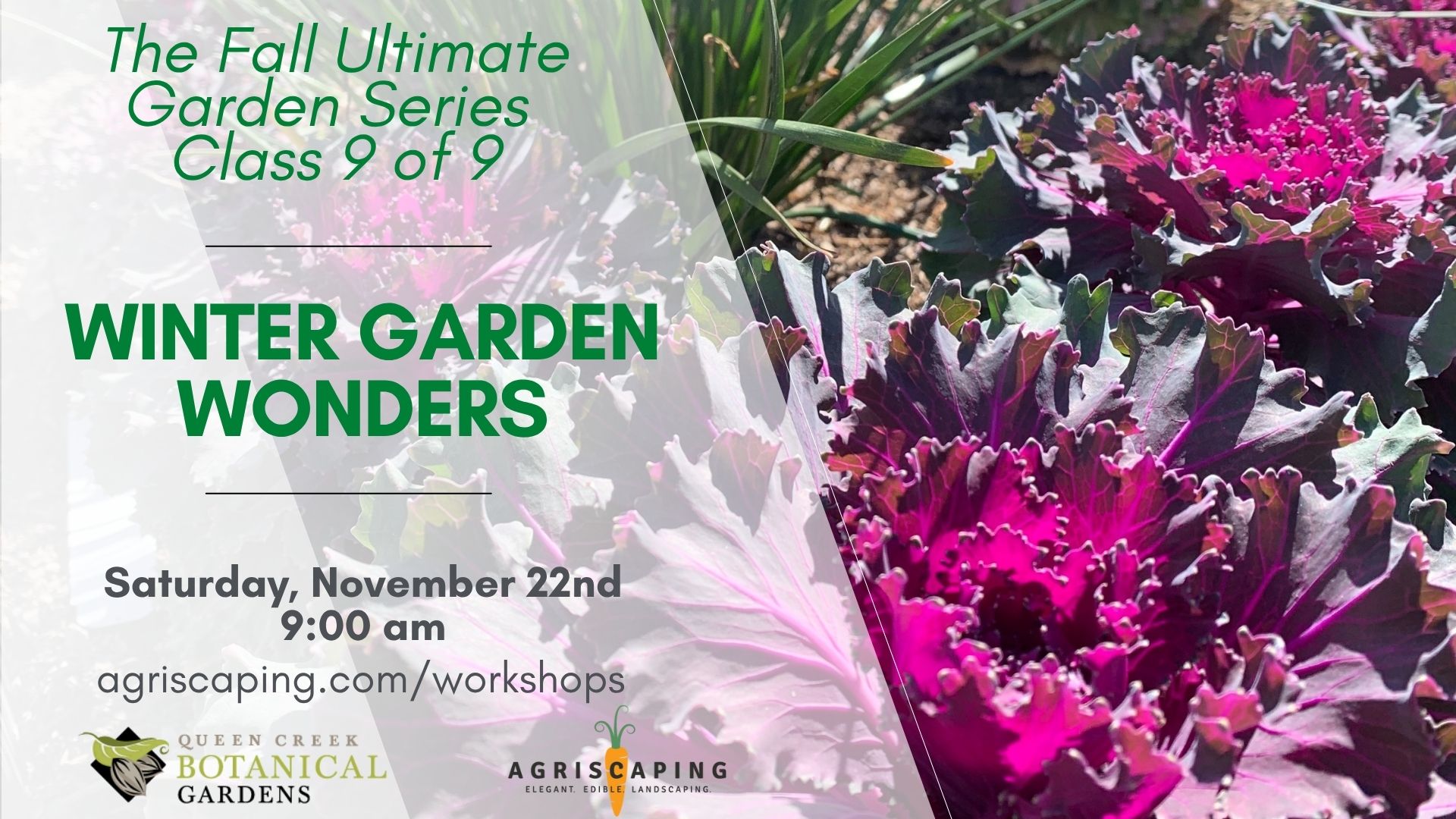 11.22.25 Garden Wonders Workshop