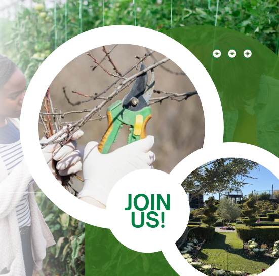 01.03.26 Winter Pruning