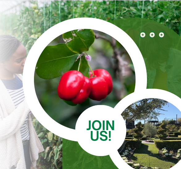 12.20.25 Winter Garden Image